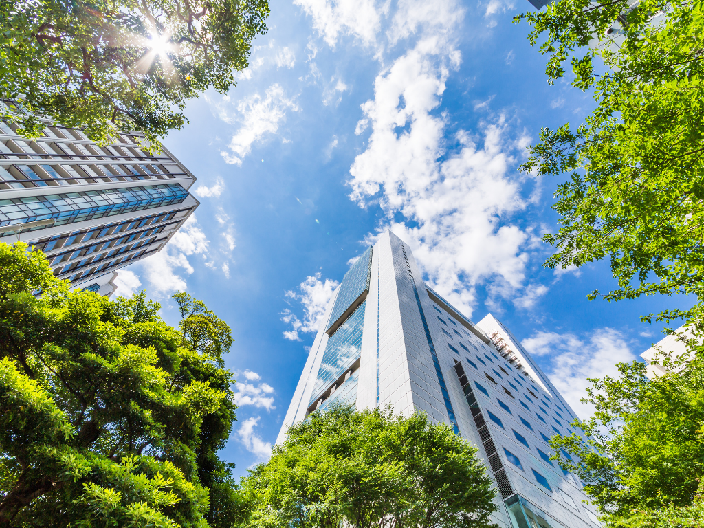 Climate Corner Trees around buildings