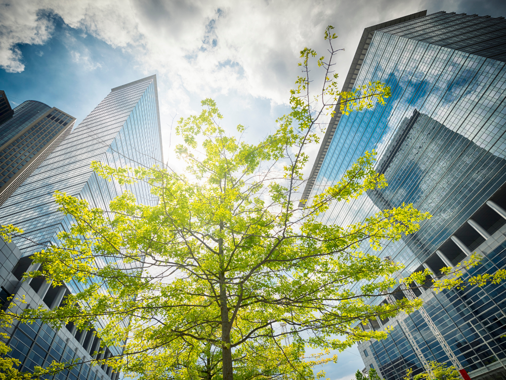 Picture of glass office buildings