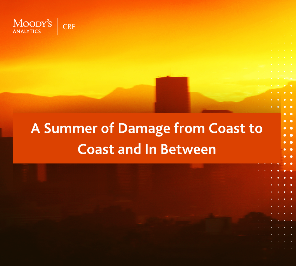 Summer Damage