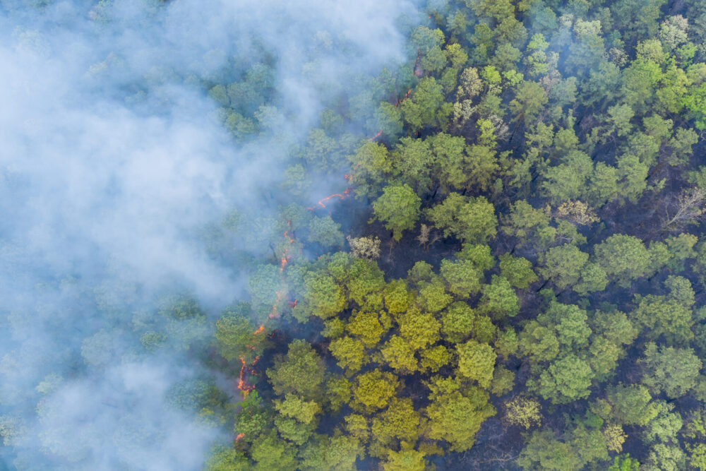 Wildfire smoke