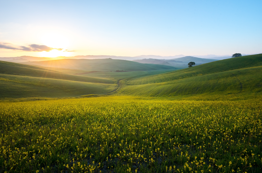 Climate ESG Grassy Rolling hills