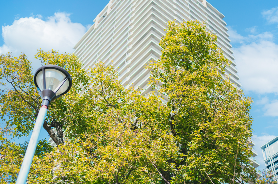 Image of Tall building with green tree